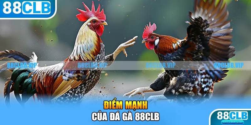 Điểm mạnh của đá gà 88CLB