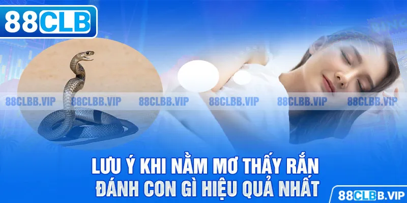 Lưu ý khi nằm mơ thấy rắn đánh con gì hiệu quả nhất