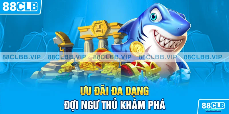 Ưu đãi đa dạng đợi ngư thủ khám phá