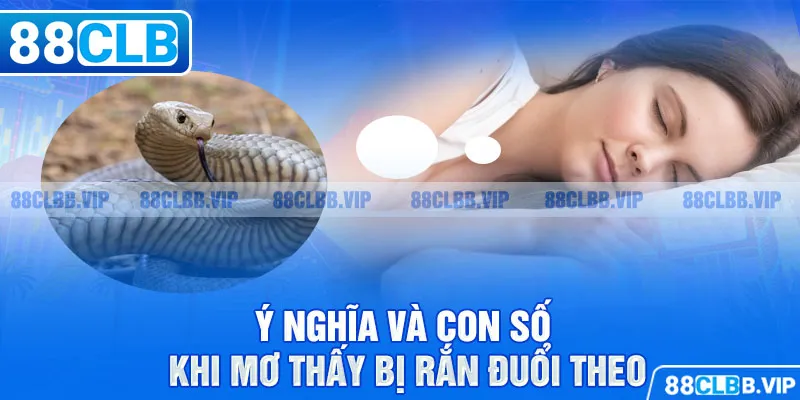 Ngủ mơ bị rắn đuổi theo đánh con gì?